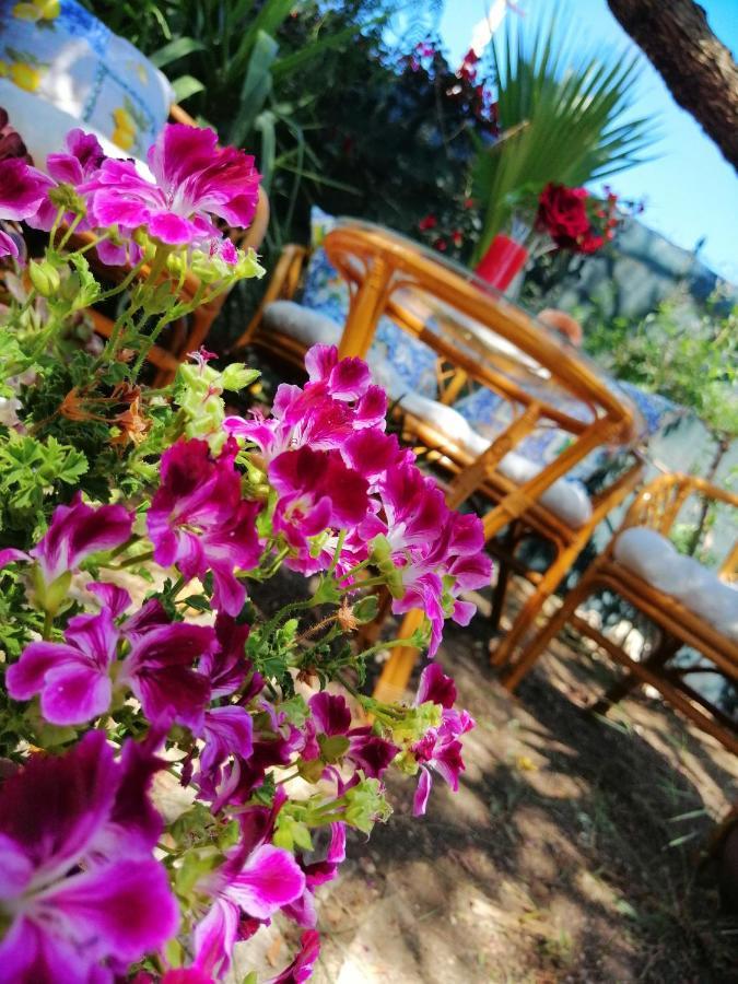 Lumie Di Sicilia Bed and Breakfast Porto Empedocle Exteriör bild